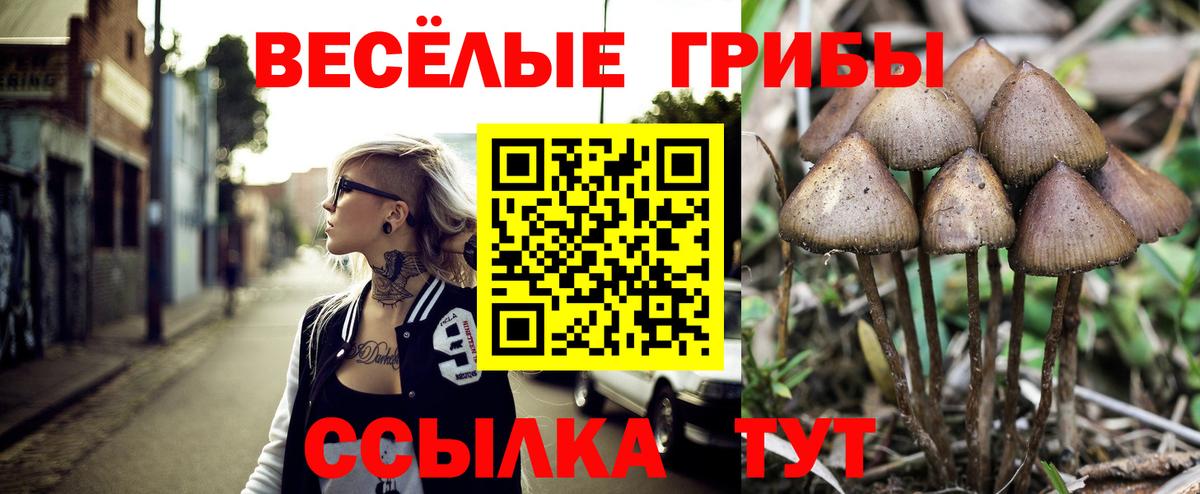 Галлюциногенные грибы Psilocybine cubensis Усть-Илимск